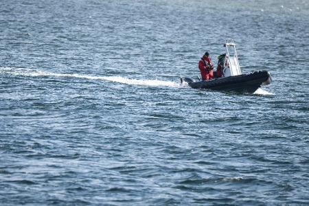 Die Polizei war auf der Ostsee unterwegs, um den Buckelwal zu betreuen. 
