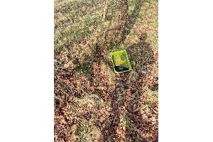 mit ölähnlicher Flüssigkeit gefüllte Kunststoffwanne unter einem Baum