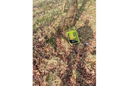 mit ölähnlicher Flüssigkeit gefüllte Kunststoffwanne unter einem Baum