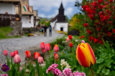 Tulpen vor einer ländlichen Kirche zu Ostern, davor zwei Menschen