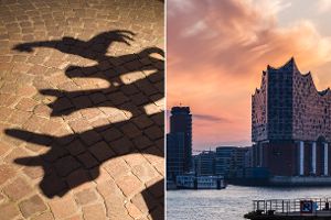 Collage aus den Bremer Stadtmusikanten und der Hamburger Skyline