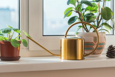 Goldene Gießkanne auf einer Fensterbank zwischen Blumen