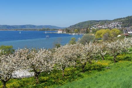 Marienschlucht am Bodensee nach elf Jahren wiedereröffnet