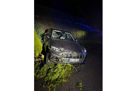 Der Audi kam auf dem abgeknickten Lebensbaum zum Stehen.