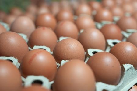 In manchen Lebensmittelläden sind sie gerade Mangelware: Eier. (Symbolbild)