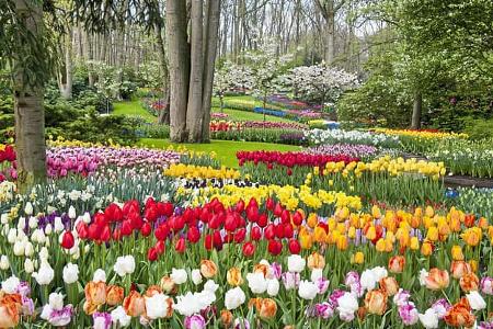 Keukenhof Niederlande