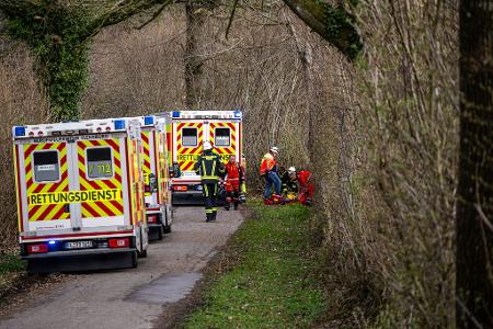 Drei Menschen sterben in einem Waldstück südöstlich von Flensburg.