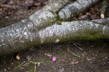 Bei einem Unglück am Ostersonntag sterben im nördlichen Schleswig-Holstein drei Menschen.