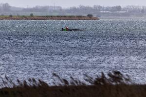 Jetzt soll auch die Wasserqualität beim gestrandeten Wal geprüft werden. 