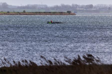 Jetzt soll auch die Wasserqualität beim gestrandeten Wal geprüft werden. 
