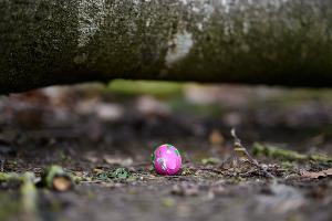 Drei Menschen kommen bei dem Unglück am Ostersonntag ums Leben.