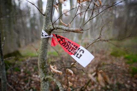 Reste einer Polizeiabsperrung sind in dem betroffenen Waldstück zu sehen.