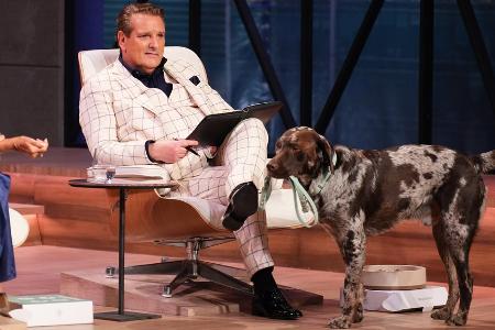 Tierischer Besuch bei 