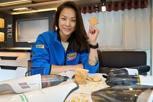 Akku-Handstaubsauger