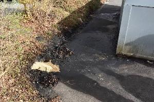 Illegale Entsorgung von Altöl