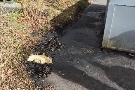 Illegale Entsorgung von Altöl