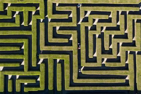 Orientierungssinn gefragt: Besucher gehen durch einen Irrgarten zwischen Thuja-Hecken-Pflanzen.