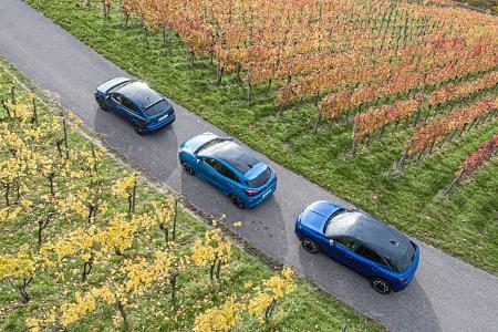 Drohnenaufnahme von drei blauen Kompakt-SUVs (VW Taigo 1.5 TSI, Opel Mokka Hybrid, Ford Puma 1.0 EcoBoost) auf einer Straße zwischen Weinbergen im Herbst.