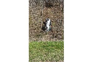 Die Fahrerin erlitt leichte Verletzungen.