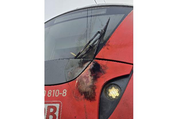 Die defekte Oberleitung hat sichtbare Spuren am Triebwagen hinterlassen. 