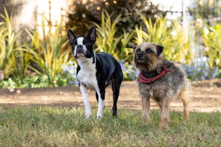 Reggie und Bug aus 