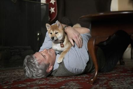 Hachiko aus 