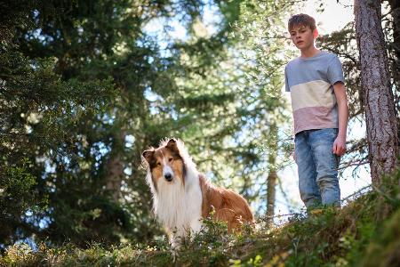 Lassie aus 