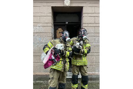 Zwei Feuerwehrkräfte bringen gerettete Hunde aus dem Gebäude. Alle Tiere konnten unverletzt ihren Besitzern übergeben werden.