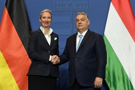 AfD-Parteichefin Alice Weidel pflegte ein enges Verhältnis mit Ungarns jetzt abgewähltem Regierungschef Viktor Orban. (Archivbild)