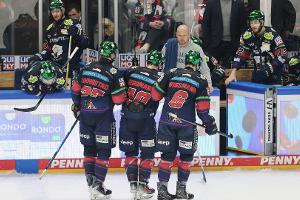 Eisbären wieder im Verletzungspech: Saison-Aus für Bergmann