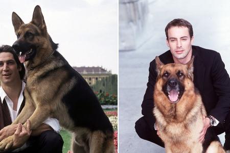 Serien-Comeback: Das wurde aus den 