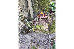 ehemaliger Befestigungsort