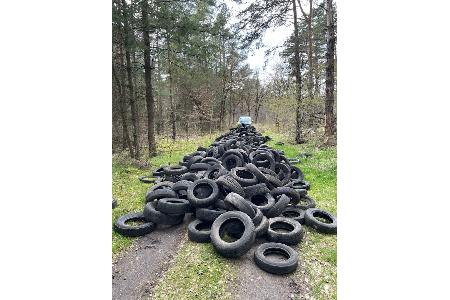 Auf dem Waldweg entsorgte Reifen