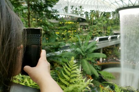 Wasserfall im Flughafen Singapur Changi