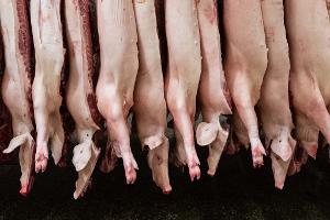 Geklagt hatte ein Unternehmen, dass sich auf die Zerlegung von Schweineköpfen spezialisiert. (Archivbild)