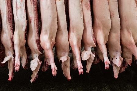 Geklagt hatte ein Unternehmen, dass sich auf die Zerlegung von Schweineköpfen spezialisiert. (Archivbild)