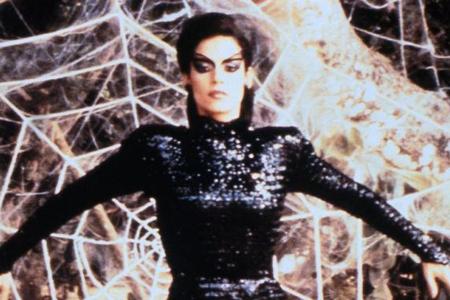 Kuss der Spinnenfrau (1985)