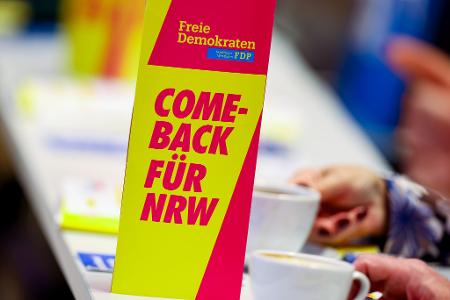 Die FDP kämpft um ihr politisches Überleben.