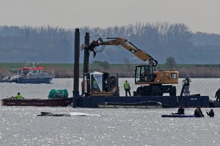 Detaillierte Infos zum Fortschritt der Rettungsaktion gibt es von den Initiatoren nicht.