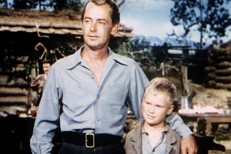 Mein großer Freund Shane (1953)
