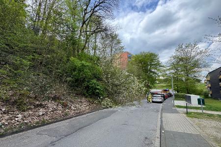 Baum 1. Bildquelle Feuerwehr Herdecke. Die beigefügten Fotos dürfen nur in Zusammenhang mit dem unmittelbaren Einsatzereignis verwendet werden. Für andere Berichterstattungen ist die Zustimmung der Pressestelle FFH einzuholen.
