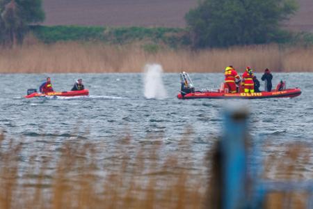 Greenpeace: "Der Stress für das Tier ist enorm."