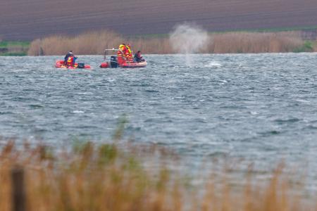 Der Wal ist am Morgen losgeschwommen.