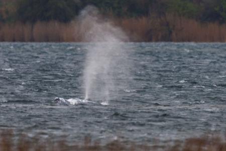 Später schien es so, als ob er erneut festsitzt. 