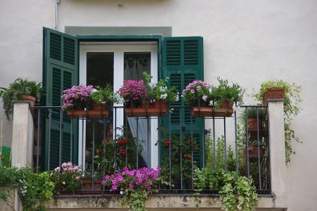 Innen auf einem Balkon angebrachte Blumenkästen