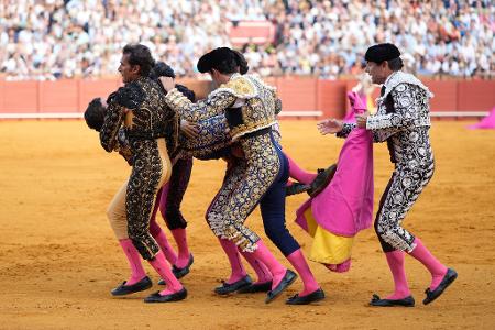 Helfer tragen den schwer verletzten Torero Morante de la Puebla aus der Stierkampfarena.