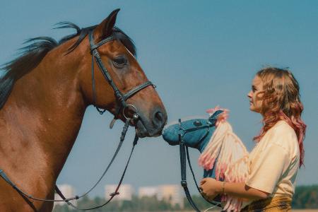 Pferd am Stiel - Ein Hobby-Horsing-Abenteuer