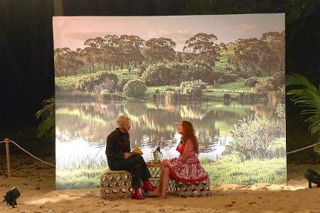 Kampf der RealityAllstars