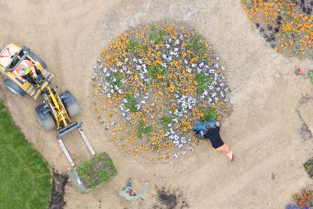 Gärtner pflanzen Blumen auf dem Gelände der Landesgartenschau 2026 in Bad Nenndorf.