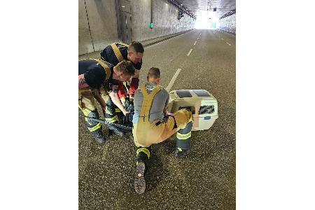 Feuerwehr Stuttgart Rettung Entenfamilie B14 Schwanenplatztunnel 24. April 2026